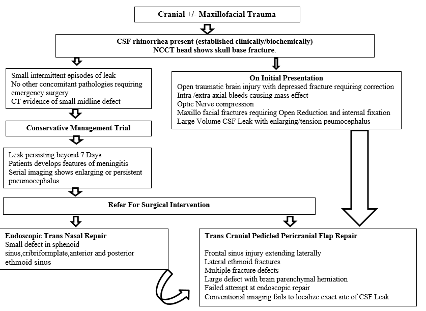 Algorithm proposed for management of Post Traumatic CSF Rhinorrhea