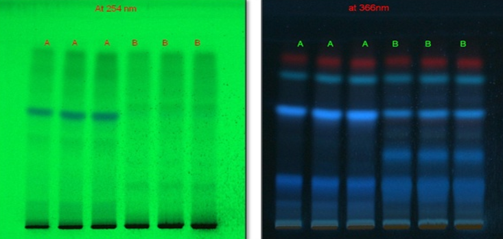 HPTLC fingerprinting at various nm