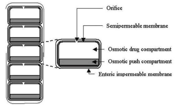 Cross-Section of the OROS-CT colon targeted drug delivery system