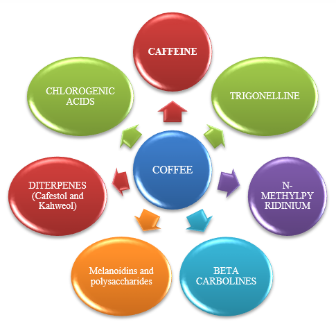 Bioactive compounds present in coffee