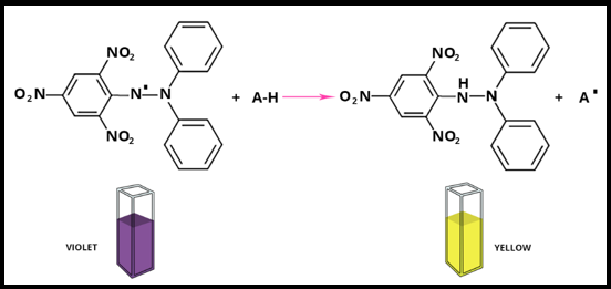 Principle of DPPH
