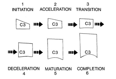 CVMI Staging.