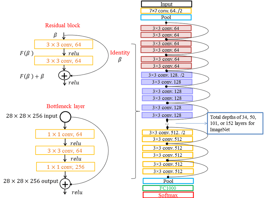 ResNet architecture with residual blocks.