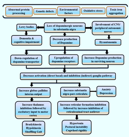 Pathogenesis of Parkinson’s disease