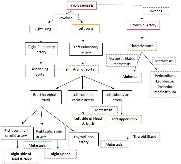 Hematogenous spread of lung cancer