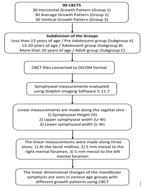 Flow diagram of the study protocol