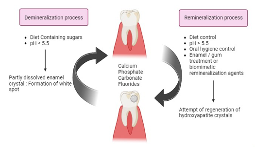Mechanism of action