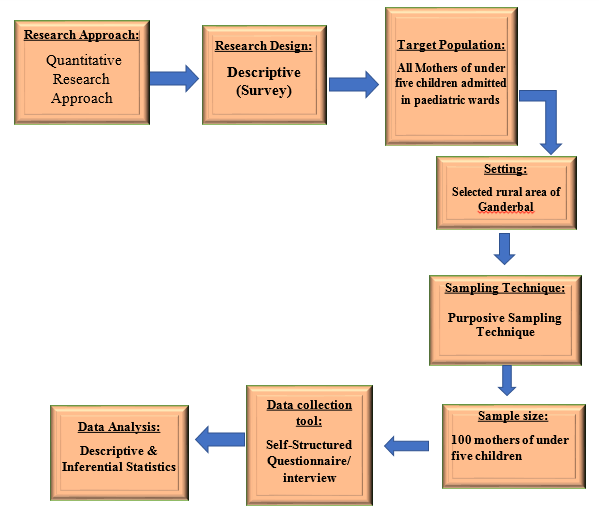 Schematic representation of methodology