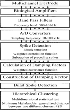 Segmentation of the data