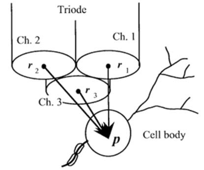 Simulated Electrode