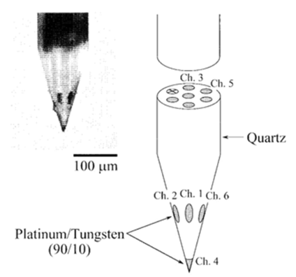 Photo micro graph followed by the illustration of a 7 -core – neuro-electrode. The core through an X is a non-functional-site.