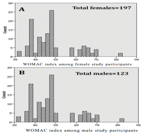 WOMAC index among male and female study participants