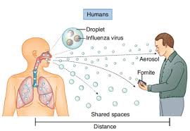 Transmission of H1N1 virus
