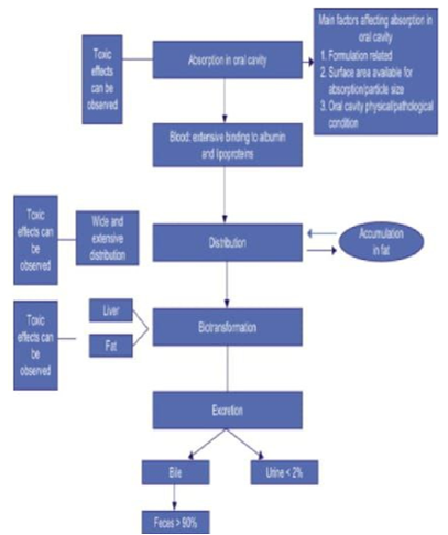 Schematic description of toxicokinetic for oral nanoparticulate drug delivery systems.