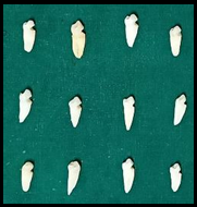 Group III chitosan