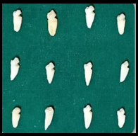 Group IV proanthocynidin