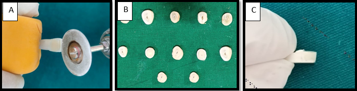 A-C: Sectioning of teeth;