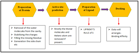 Basics steps of molecular docking 43 