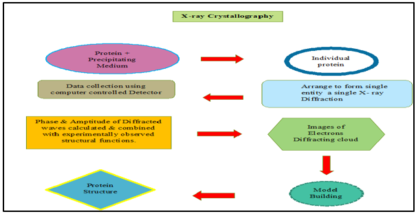 X-ray Crystallography38