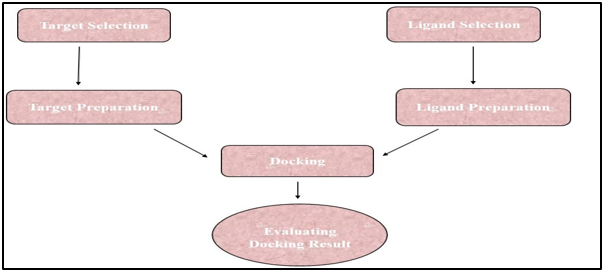Flow chart of evaluating docking39 