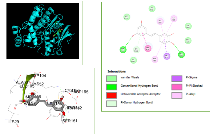 3D & 2D interactions of piceatannol with the target protein (2OJG), a ERK receptor in melanoma