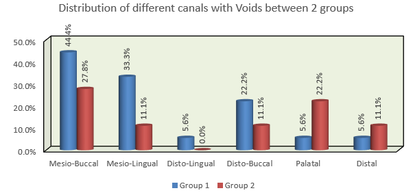 Distribution of voids in different canals using two obturating techniques