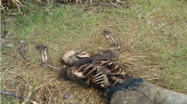 Advanced state of decomposition/skeletonisation