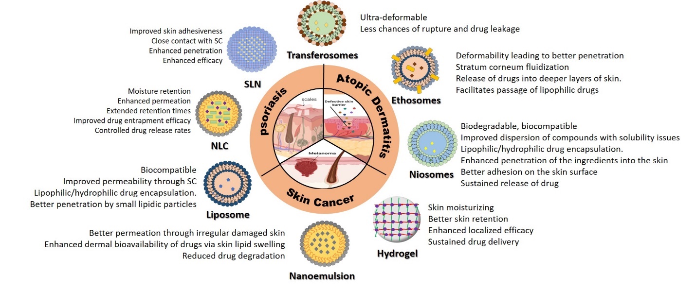 Schematic representation of the design principles exploited in nanotechnological approaches to dermal delivery of drugs for various skin diseases.