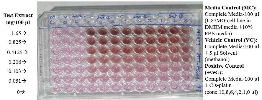 Addition of varying concentrations of cinnamon extract to U87-MG cell line