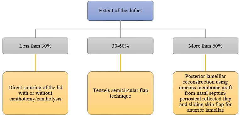 Algorithm for lid reconstruction
