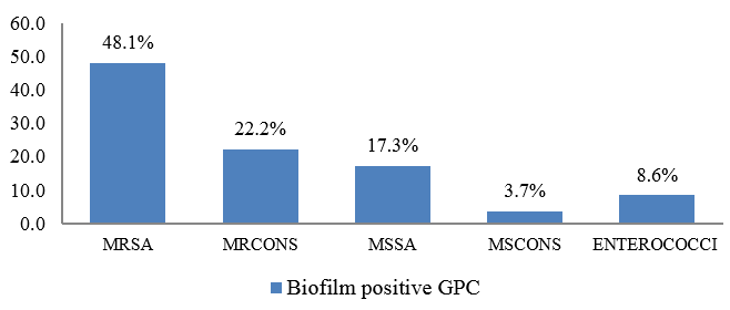Biofilm forming Gram positive cocci
