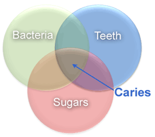 Epidemiological triad of dental caries