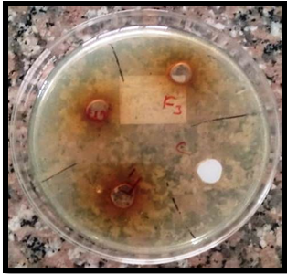 Antimicrobial activity of standard Ampicillin and prepared solution (F-1, F-2 and F-3) against Streptococcus aureus.
