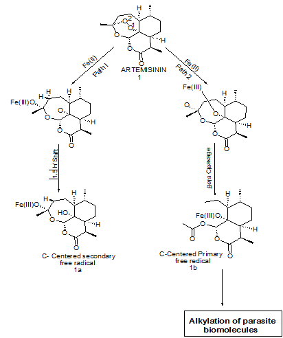 Represent mode of action of artemisinin
