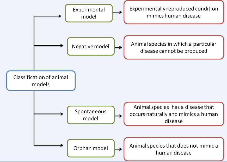 Categories of animal models