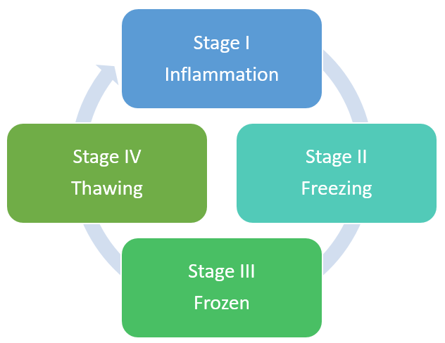 Stages of adhesive capsulitis of shoulder