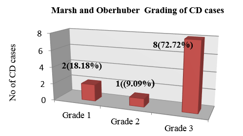 Marsh and Oberhuber Grading of CD