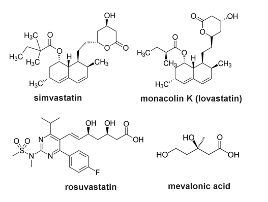 Chemical structures of the statins used in this study. Monacolin K (natural compound obtained by fermentation of white rice by Monascus purpureus or other species of mold) and lovastatin (obtained synthetically) present the same structure.14