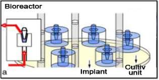 Bioreactor 11