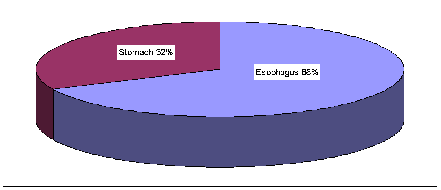 Site wise distribution of upper GI biopsies