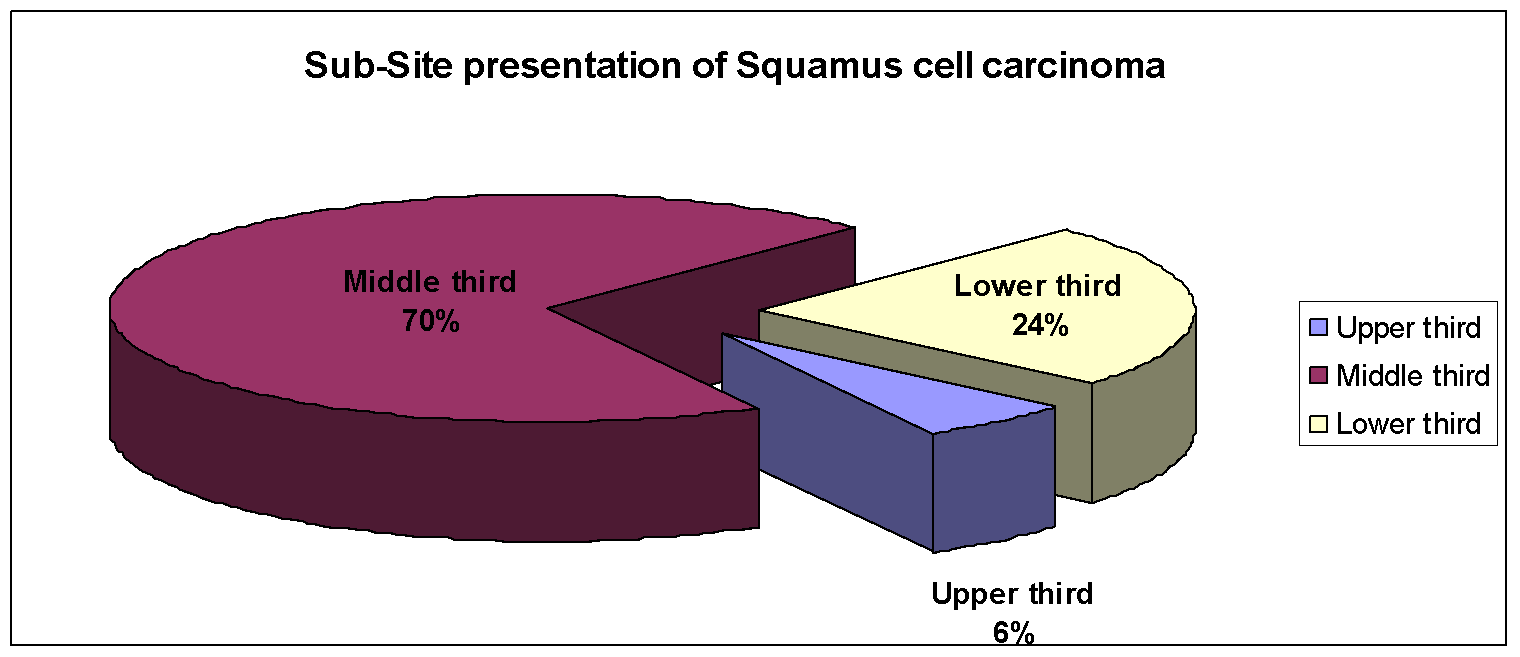 Sub-site of SCC esophagus