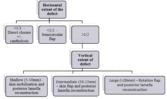 Algorithm for management of lid tumors