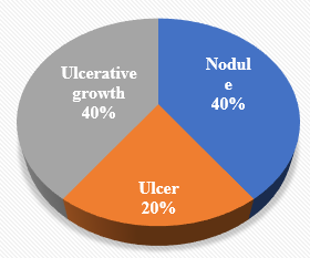 Morphological patterns of tumors