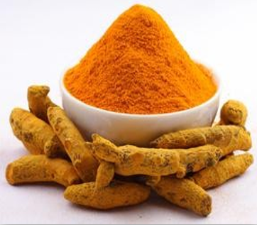 Curcuma longa (Turmeric)