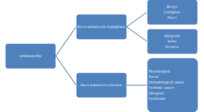 Causes of melanonychia