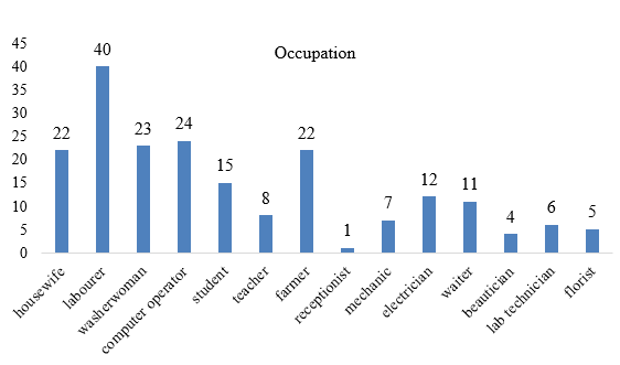 Occupation of the patients