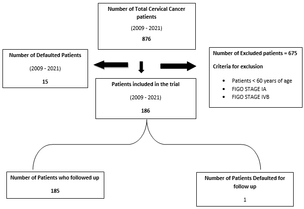 Patient selection flow chart