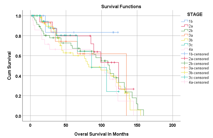 Show that he horizontal axis (x-axis) represents Overall survival (in months) and the vertical axis (y-axis) shows the probability of survival of patient.  