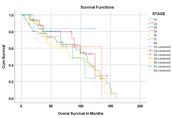 Show that the horizontal axis (x-axis) represents Disease free survival (in months) and the vertical axis (y-axis) shows the probability of survival of patients in study population. 