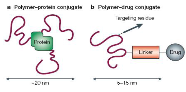 Categories ofpolymer constructs known as polymer therapeutics